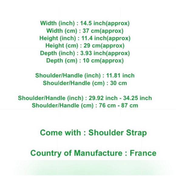 ✅AUTHENTIC GM 2WAYS BAG LOUIS VUITTON - Picture 4 of 16